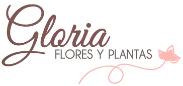 Flores Gloria - Floristería en Alicante con más de 50 años de experiencia